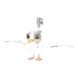 Piu, Cintilante