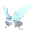 Borboscama, Cintilante