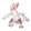 Lavazar, Cintilante