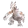 Magmarex, Cintilante