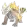 Geospina, Cintilante