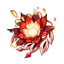 Flor de Labareda da Bruxa