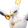 Bicorneta (Forma prismana)