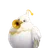 Tubico