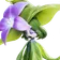 Ervassom