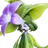 Ervassom