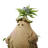Tuberô