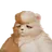 Ferurso