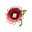 Broche de Apostador