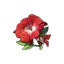 Flor Vermelha de Artista Marcial