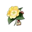 Rosa do Aventureiro
