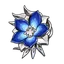 Flor da Purificação