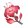 Dendróbio