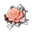 Amor Distante da Donzela