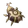 Escaravelho Dourado