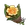 Flor Florescente do Andarilho