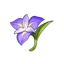 Flor do Guarda