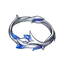 Coroa do Ritual Hydro