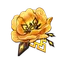 Flor do Penhasco Rachado
