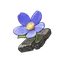 Flor do Milagre