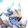 Peônio, Forma de Nevasca