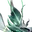 Forma de Floresta