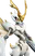 Fulminte