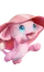 Saltilótus