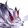 Gelispada, Forma Noturna