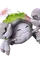Florigarra