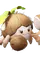 Florigarra