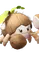 Florigarra