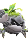Plantogarra
