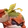 Plantogarra, Forma de Baía