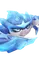 Geligarra