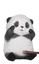 Timilontra
