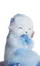 Conchilontra