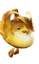 Piu