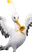 Trombico
