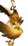 Bicorneta