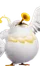 Tubico