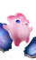 Constela