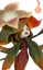 Ervassom