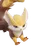 Raí