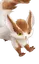 Raí