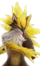 Pelirraio
