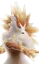 Pelirraio