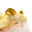 Forma de Brumanuvem