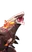 Magmarex