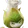 Brotescudeiro, Forma de Torrilenha